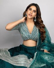 Gorgeous Nabha Natesh Diwali Celebration Photos 04