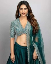 Gorgeous Nabha Natesh Diwali Celebration Photos 05