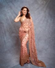 Gorgeous Pragya Jaiswal in a Peach Saree at Daaku Maharaaj Success Press Meet in Hyderabad Photos 02