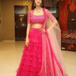 Vedhika 6 Gorgeous Vedhika Kumar at Kanchana Movie Success Meet Pictures
