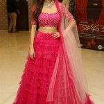 Vedhika 5