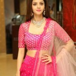 Vedhika 13 Gorgeous Vedhika Kumar at Kanchana Movie Success Meet Pictures
