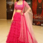 Vedhika 9 Gorgeous Vedhika Kumar at Kanchana Movie Success Meet Pictures