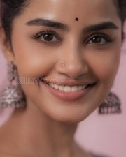 Graceful Actress Anupama Parameswaran in a Grey and Purple Saree Photos 01