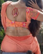 Graceful Actress Anupama Parameswaran in a Peach Embroidered Saree Photos 02 Graceful Actress Anupama Parameswaran in a Peach Embroidered Saree Photos 02