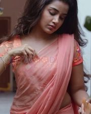 Graceful Actress Anupama Parameswaran in a Peach Embroidered Saree Photos 05 Graceful Actress Anupama Parameswaran in a Peach Embroidered Saree Photos 05