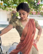 Graceful Actress Nabha Natesh in a Rust Saree Photos 01