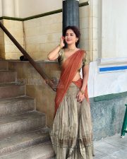 Graceful Actress Nabha Natesh in a Rust Saree Photos 02