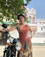 Graceful Actress Nabha Natesh in a Rust Saree Photos 03
