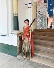 Graceful Actress Nabha Natesh in a Rust Saree Photos 04