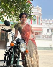 Graceful Actress Nabha Natesh in a Rust Saree Photos 05
