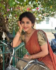 Graceful Actress Nabha Natesh in a Rust Saree Photos 06