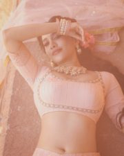 Graceful Actress Nabha Natesh in a blush pink and gold beaded saree blouse crop top with flowing pallu photos 15