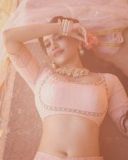 Graceful Actress Nabha Natesh in a blush pink and gold beaded saree blouse crop top with flowing pallu photos 15