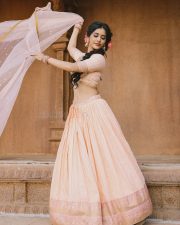Graceful Actress Nabha Natesh in a blush pink and gold beaded saree blouse crop top with flowing pallu photos 17
