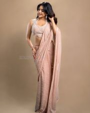 Graceful Actress Nabha Natesh in an ornate gold and magenta embroidered cream lehenga with gold jewelry photos 06