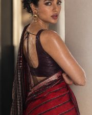 Graceful Actress Sobhita Dhulipala in a Red Striped Handloom Saree Photos 05 Graceful Actress Sobhita Dhulipala in a Red Striped Handloom Saree Photos 05