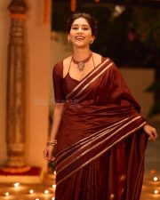 Graceful Nabha Natesh in a Brown Vintage Saree with a Plain Maroon Blouse Photos 01
