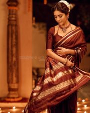 Graceful Nabha Natesh in a Brown Vintage Saree with a Plain Maroon Blouse Photos 02