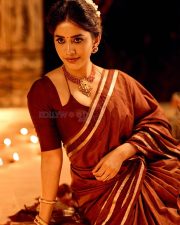 Graceful Nabha Natesh in a Brown Vintage Saree with a Plain Maroon Blouse Photos 03