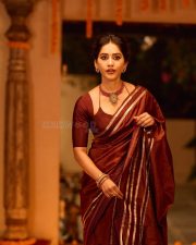 Graceful Nabha Natesh in a Brown Vintage Saree with a Plain Maroon Blouse Photos 04