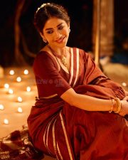 Graceful Nabha Natesh in a Brown Vintage Saree with a Plain Maroon Blouse Photos 05