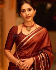 Graceful Nabha Natesh in a Brown Vintage Saree with a Plain Maroon Blouse Photos 06
