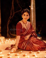Graceful Nabha Natesh in a Brown Vintage Saree with a Plain Maroon Blouse Photos 07