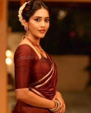 Graceful Nabha Natesh in a Brown Vintage Saree with a Plain Maroon Blouse Photos 09