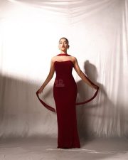 Graceful Nabha Natesh in a Strapless Off Shoulder Maroon Dress Pictures 01