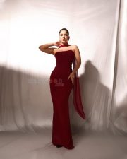 Graceful Nabha Natesh in a Strapless Off Shoulder Maroon Dress Pictures 08