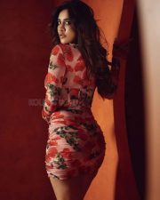 Heroine Nabha Natesh Hot Photoshoot Stills 02