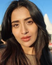 Heroine Rashi Singh Selfie Photos 01