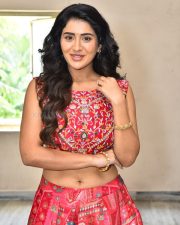 Heroine Rashi Singh at Paanch Minar Press Meet Photos 02