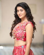 Heroine Rashi Singh at Paanch Minar Press Meet Photos 18 Heroine Rashi Singh at Paanch Minar Press Meet Photos 18