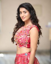 Heroine Rashi Singh at Paanch Minar Press Meet Photos 18
