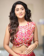 Heroine Rashi Singh at Paanch Minar Press Meet Photos 20