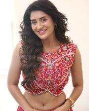 Heroine Rashi Singh at Paanch Minar Press Meet Photos 40