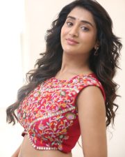 Heroine Rashi Singh at Paanch Minar Press Meet Photos 41 Heroine Rashi Singh at Paanch Minar Press Meet Photos 41