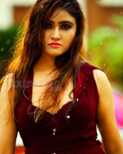 Heroine Sony Charishta Glamourous Photos