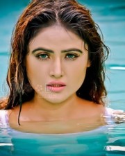 Hot Actress Sony Charishta Wet Photos