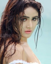 Hot Actress Sony Charishta Wet Photos