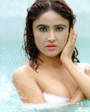 Hot Actress Sony Charishta Wet Photos