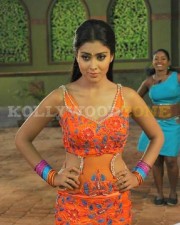Hot And Sexy Shriya Pictures