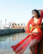 Hot And Sexy Shriya Pictures