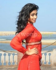 Hot And Sexy Shriya Pictures