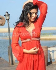 Hot And Sexy Shriya Pictures