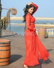 Hot And Sexy Shriya Pictures