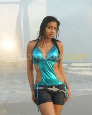 Hot And Sexy Shriya Pictures