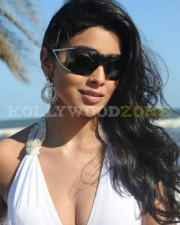 Hot And Sexy Shriya Pictures